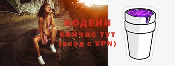 экстази Гусев