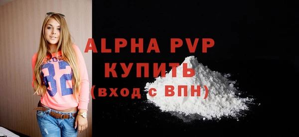 прущие грибы Карпинск