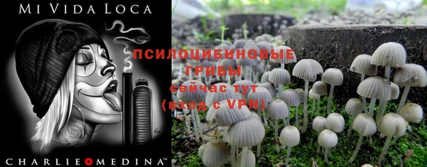 прущий лед Гусиноозёрск