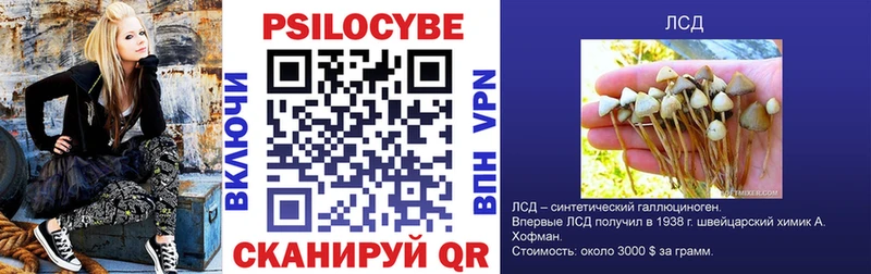 Псилоцибиновые грибы Psilocybe  Ярославль 